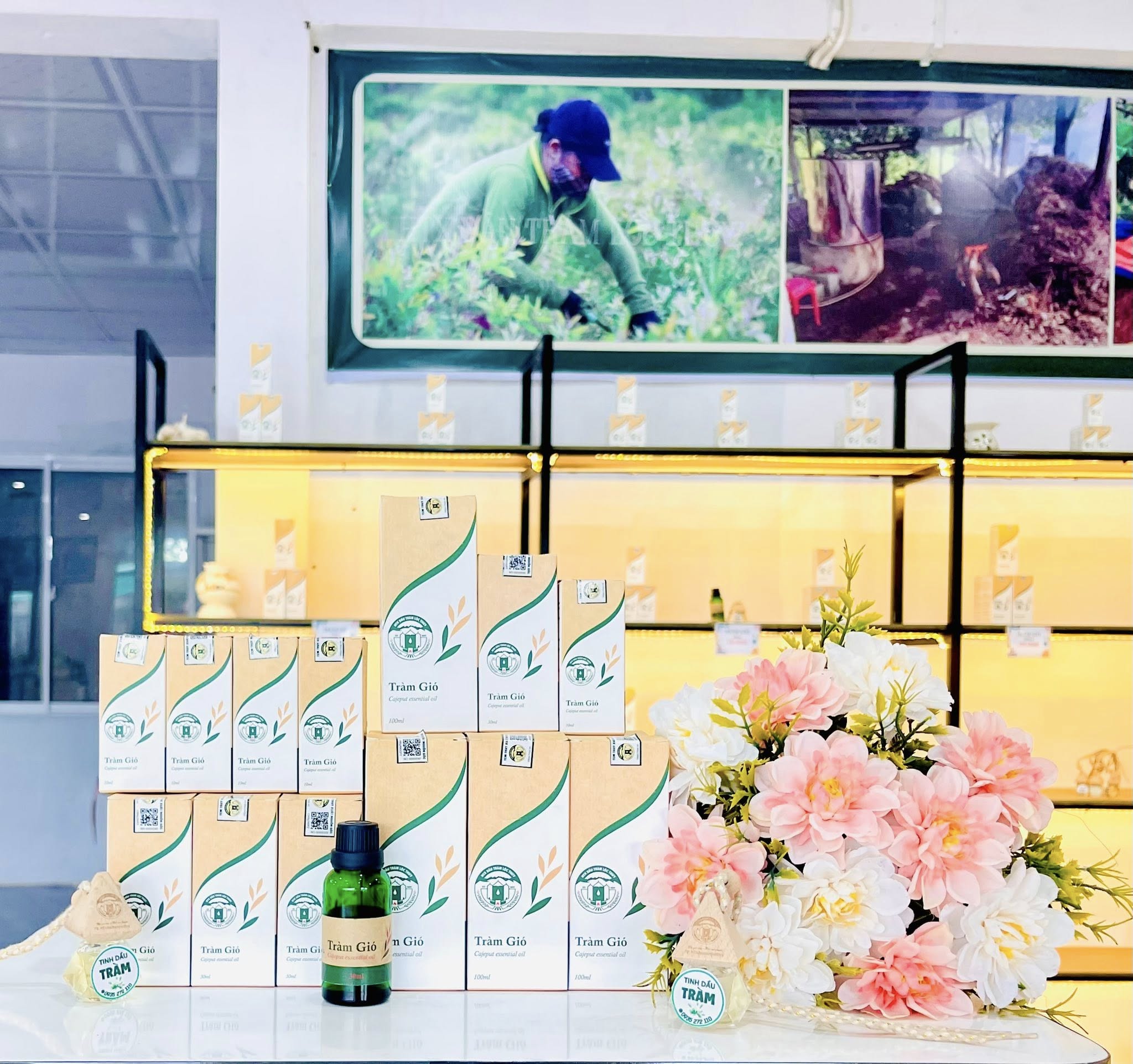 Tinh dầu tràm gió - Hợp Tác Xã Sản Xuất, Chế Biến, Dịch Vụ Dầu Tràm Xã Lộc Thủy